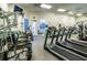Well-equipped fitness center with treadmills, weight machines, and natural light at 9500 Green Needle Dr, New Port Richey, FL 34655