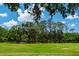 Lush green golf course with mature trees and a blue sky backdrop at 9500 Green Needle Dr, New Port Richey, FL 34655