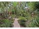 Backyard garden featuring a brick pathway winding through tropical landscaping and plants at 1014 7Th Street N, St Petersburg, FL 33701