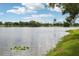 Picturesque lake view featuring calm waters, lush green shores, and a cityscape backdrop at 1014 7Th Street N, St Petersburg, FL 33701