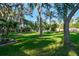 Expansive backyard with lush greenery and mature trees at 11209 Spring St, Largo, FL 33774