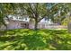 A beautiful backyard with a well-maintained lawn, mature trees, and a swimming pool at 1140 Mcfarland St, Dunedin, FL 34698