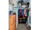 Organized walk-in closet with shelving, hanging clothes, storage bins, and collectibles at 12327 Eagle Swoop Pl, Riverview, FL 33579