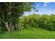 Lush backyard with mature trees, shrubbery, and a well-maintained lawn at 13003 Titleist Dr, Hudson, FL 34669