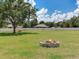 Spacious backyard with fire pit and mature trees offering privacy at 16220 Lake Armistead Way, Odessa, FL 33556