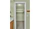 Walk in closet featuring shelving for optimal storage at 1666 Souvenir Dr, Clearwater, FL 33755
