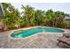 Inviting backyard oasis showcasing a kidney-shaped pool, spa, and lush tropical landscaping at 1955 Cobblestone Way, Clearwater, FL 33760