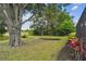 Spacious backyard with mature trees, landscaping, and a view of the pond at 19836 Hidden Glen Dr, Land O Lakes, FL 34638