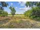Lush backyard with a picturesque water view and mature trees at 19836 Hidden Glen Dr, Land O Lakes, FL 34638