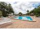 Inviting community pool area with lounge chairs, tiki umbrellas, and lush tropical landscaping at 2617 Cove Cay Dr # 206, Clearwater, FL 33760