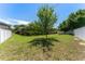 The lush green backyard features mature trees, a well-maintained lawn, and is fully enclosed with a white vinyl fence at 2637 Yukon Cliff Dr, Ruskin, FL 33570