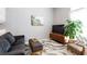 Cozy living room featuring a comfortable sofa, stylish rug, television and modern decor at 2643 St Josephs W Dr, Dunedin, FL 34698