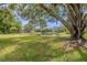 A large tree overlooks a pond and surrounding residential community at 3505 Tarpon Woods Blvd # N405, Palm Harbor, FL 34685