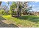 Backyard with a well-maintained lawn and some trees at 39650 Us Highway 19 N # 553, Tarpon Springs, FL 34689