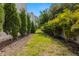 A backyard with an expansive lawn, mature trees and shrubbery at 4120 W North A St # 2, Tampa, FL 33609