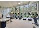 Well-equipped gym with exercise machines and large windows at 5717 Village Center Dr, Lithia, FL 33547