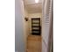 Walk in closet with shelving and storage, well lit, with hardwood floor at 946 Madrid Dr, Palm Harbor, FL 34684