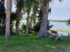 Scenic view of the lake with mature trees and a park bench on the lawn at 946 Madrid Dr, Palm Harbor, FL 34684