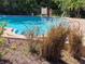 Community pool with a shallow entrance, safety ring, and garden area at 946 Madrid Dr, Palm Harbor, FL 34684