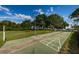 Shuffleboard court with a green surface, surrounded by grassy areas, offering a fun community activity at 1170 Pine Ridge W Cir # C2, Tarpon Springs, FL 34688