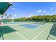 A well-maintained tennis court with blue and green surfaces, framed by tall palm trees at 1908 Canterbury Ln # 28, Sun City Center, FL 33573