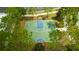 An aerial view of the basketball court nestled among trees, with benches and well-defined lines at 19200 Roseate Dr, Lutz, FL 33558