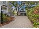 Paved driveway leads to a detached garage underneath a mature tree at 2933 W Alline Ave, Tampa, FL 33611