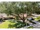 Aerial view of a well-maintained home, showcasing its lush landscaping and expansive tree coverage at 3071 Bolt Dr, Palm Harbor, FL 34685