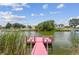 Picturesque waterfront view from dock with calm waters and lush green surroundings at 3227 Rose Arbor Dr, Hernando Beach, FL 34607