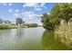 Scenic waterfront view showcasing a calm canal with lush greenery and clear blue sky, offering a serene ambiance at 3227 Rose Arbor Dr, Hernando Beach, FL 34607