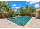 Backyard swimming pool featuring a tiled edge, surrounded by lush landscaping, under a blue sky at 455 18Th Ne Ave, St Petersburg, FL 33704