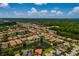 High angle of a desirable neighborhood with pond views, manicured lawns, and easy access to amenities at 4611 Grand Preserve Pl, Palm Harbor, FL 34684