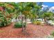 Beautifully landscaped front yard with palm trees, colorful flowers, and a charming home with a covered porch at 546 26Th N Ave, St Petersburg, FL 33704