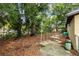 View of the backyard with a fence and trees at 701 59Th Ne Ave, St Petersburg, FL 33703