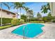 Backyard featuring a sparkling pool, palm trees, and lush landscaping creating a private oasis at 7032 Pelican Island Dr, Tampa, FL 33634