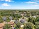 Scenic aerial view of residential houses with green lawns, mature trees, and a serene atmosphere at 7103 Bridgeview Dr, Wesley Chapel, FL 33545