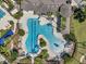 Community pool aerial view with many palm trees and lounge chairs available at 7103 Bridgeview Dr, Wesley Chapel, FL 33545