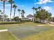 Outdoor basketball court surrounded by lush landscaping, tall palm trees, and green grass at 7103 Bridgeview Dr, Wesley Chapel, FL 33545