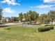 Community outdoor basketball court surrounded by a green lawn and mature trees at 7103 Bridgeview Dr, Wesley Chapel, FL 33545