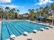 Relaxing community pool lined with lounge chairs and palm trees under a blue sky at 7103 Bridgeview Dr, Wesley Chapel, FL 33545
