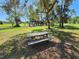 Picnic table in a shaded park area with playground in the distance, inviting outdoor enjoyment at 80 Sycamore Ct, Palm Harbor, FL 34683
