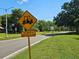 Street view of Westlake Village with Golf Cart crossing sign at 80 Sycamore Ct, Palm Harbor, FL 34683