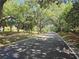 Street view of a road in Westlake Village, tree lined street at 80 Sycamore Ct, Palm Harbor, FL 34683