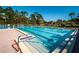 Large swimming pool with marked lanes, surrounded by lounging chairs and lush trees at 80 Sycamore Ct, Palm Harbor, FL 34683