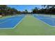 Wide view of tennis and pickleball courts, showcasing the community's recreational amenities at 80 Sycamore Ct, Palm Harbor, FL 34683