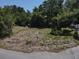 Vacant lot with a 'For Sale' sign surrounded by lush greenery, ideal for building at 8601 N 28Th St, Tampa, FL 33604