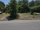 Corner lot for sale, surrounded by mature landscaping, and accessible from the street at 8601 N 28Th St, Tampa, FL 33604