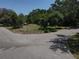 Vacant corner lot surrounded by dense trees, has an old truck on the property at 8601 N 28Th St, Tampa, FL 33604