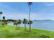 Beautiful water view showing lush green lawn, palm trees, and a scenic cityscape in the distance at 100 Oakmont Ln # 310, Belleair, FL 33756