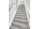 View of carpeted stairs with white railing leading to the upper level of the home at 1028 Oliveto Verdi Ct, Brandon, FL 33511